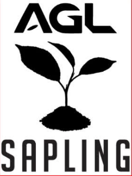 AGL Discs - Add on mini Stamp