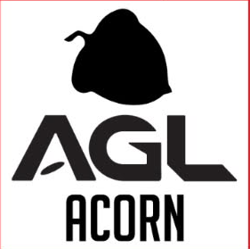 AGL Discs - Add on mini Stamp